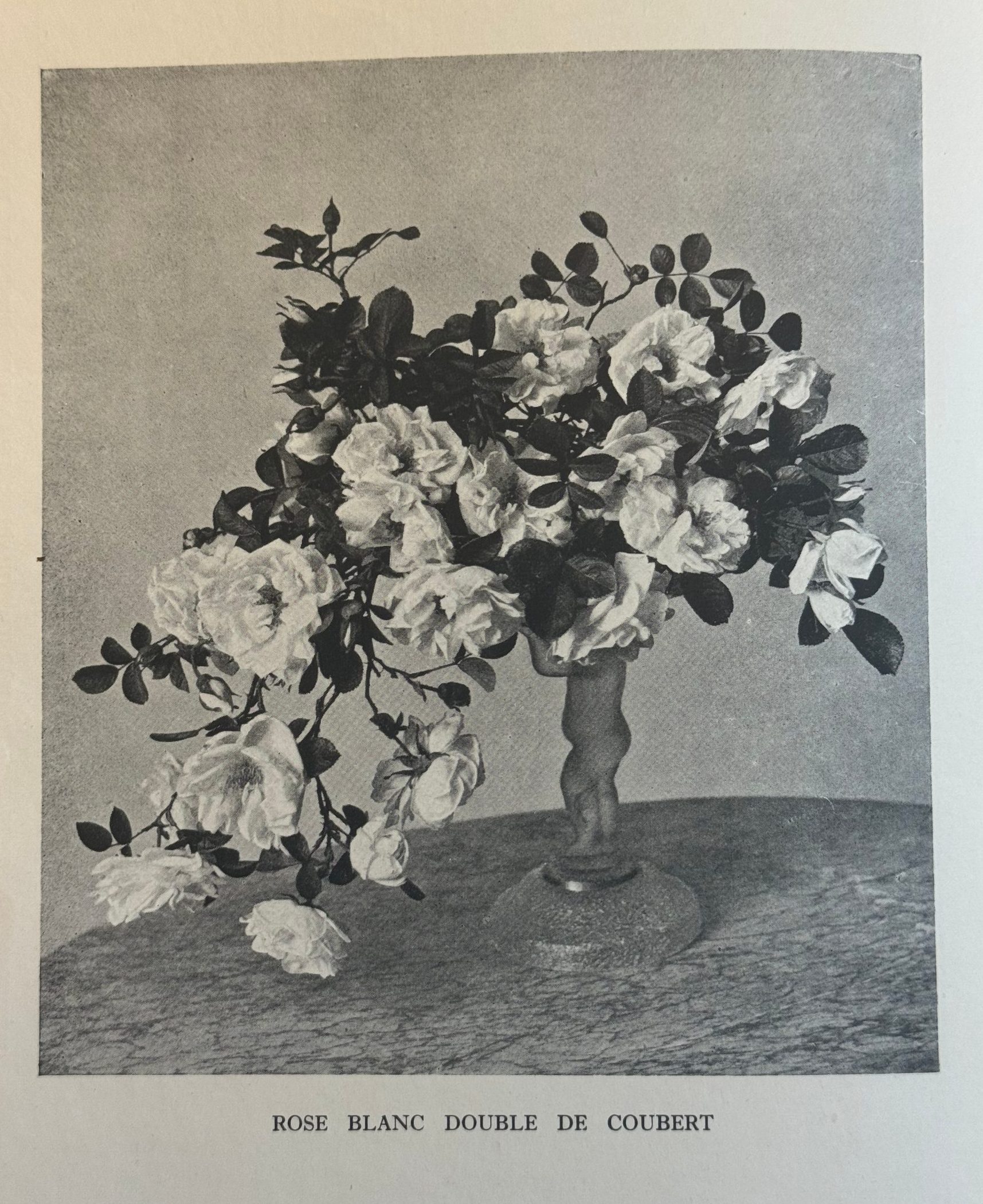 Constance Spry flower arrangement with roses