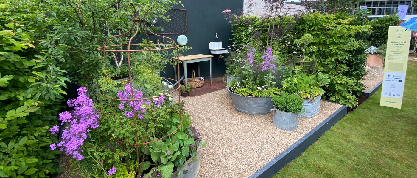 Ann Treneman’s guide to sustainable container gardening