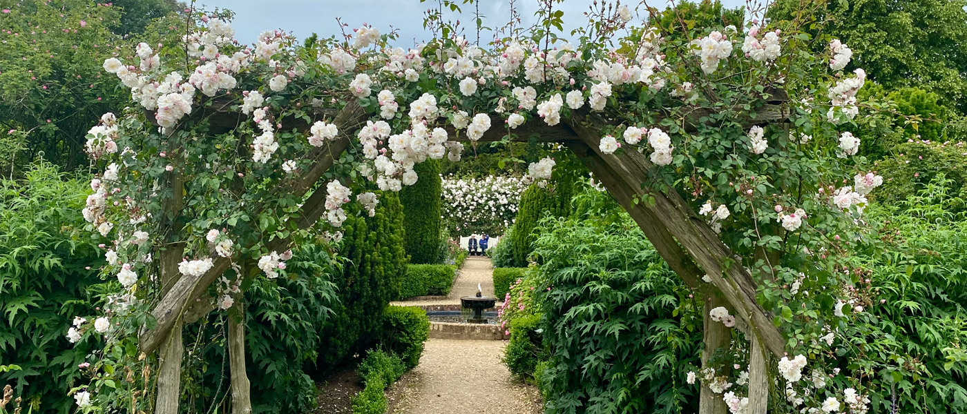 Mottisfont – the National Trust collection of old roses