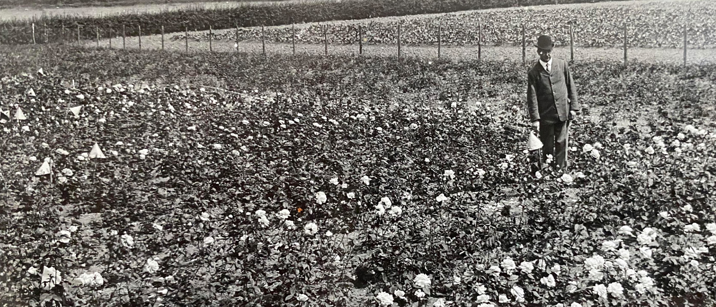 The man who grew too much