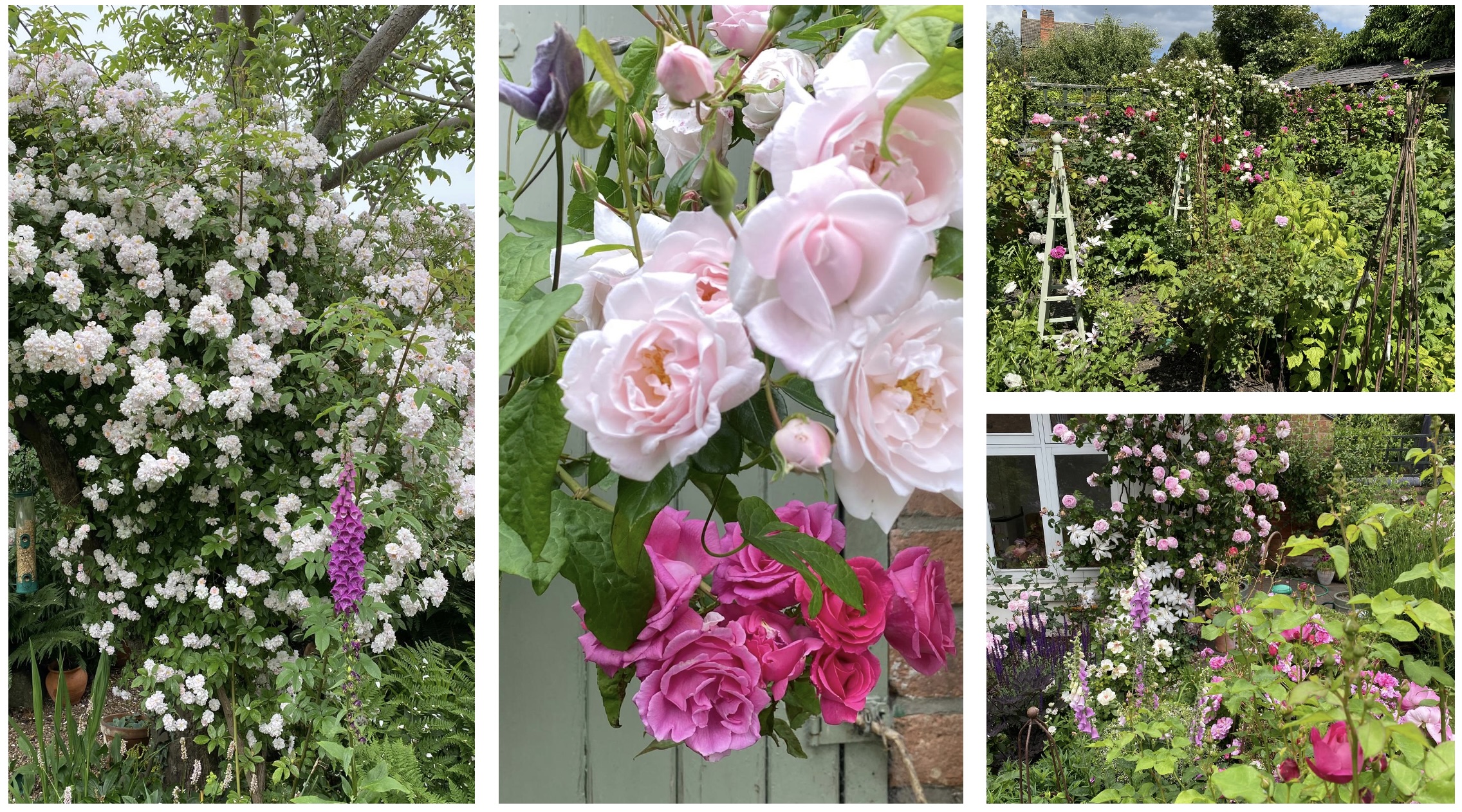 The Storyteller's Garden