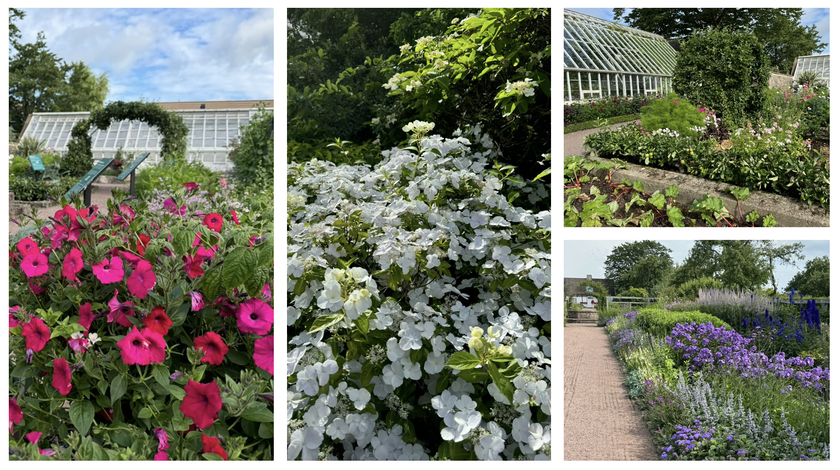 The Gardens at Sofiero, Sweden