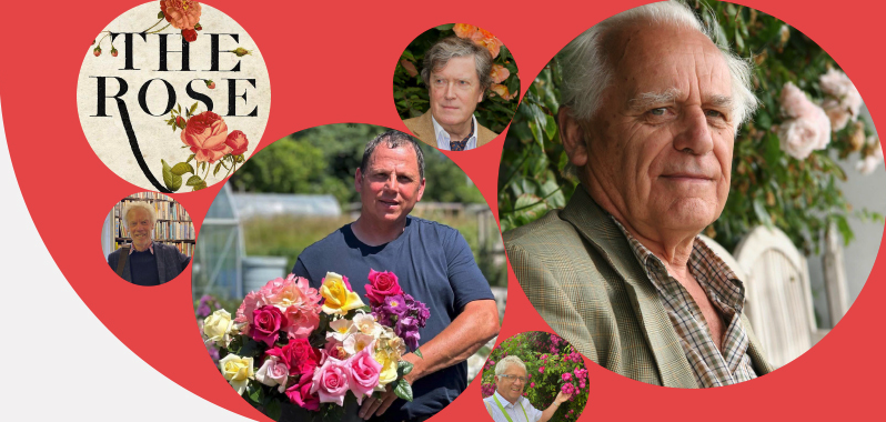 Rose webinars 2026