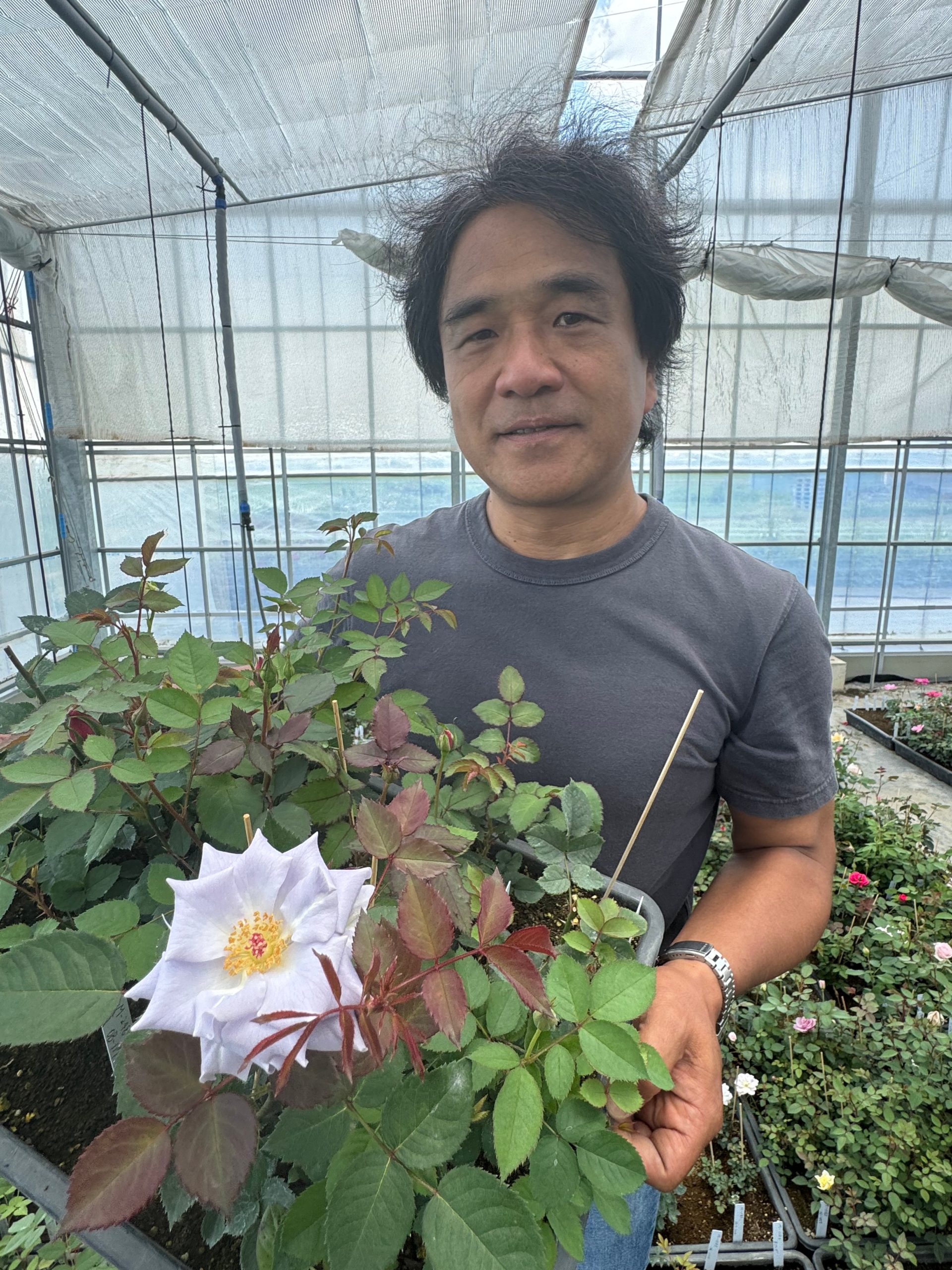 Takunori Kimura with a blue seedling rose in his hand